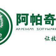 山西太原专业开发团队+软件开发+网站制作