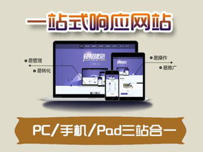 浙江网站建设制作快