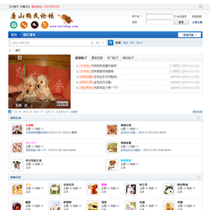 广州飞威网络科技www.fei-wei.com