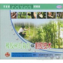  山西临汾红梅实业发展有限责任公司 主营 竹子 南竹北移 中源竹