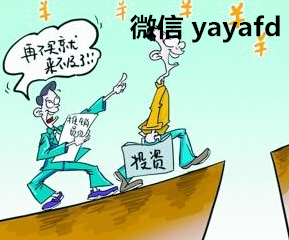 微交易 让双十一上淘宝不再纠结!_弘发微交易平台_弘发微交易-金投机构-金投网